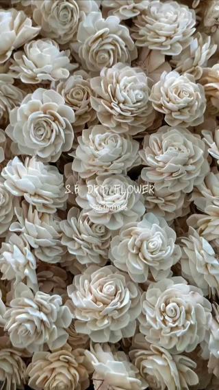 Step 01 - Select Natural Shola Material