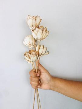 Shola Pine Stick Botanical Arrangement