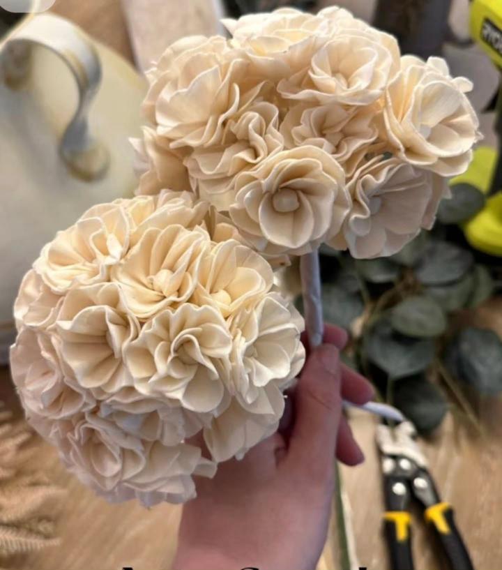 Shola Botanical Craft Assortment