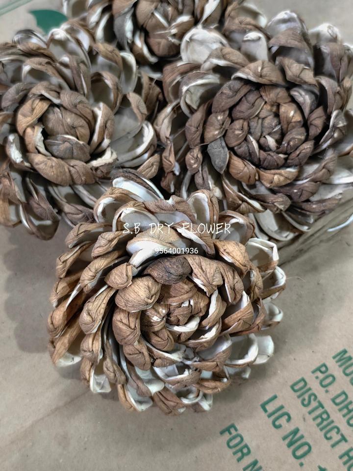 Shola Cedar Roses Flower