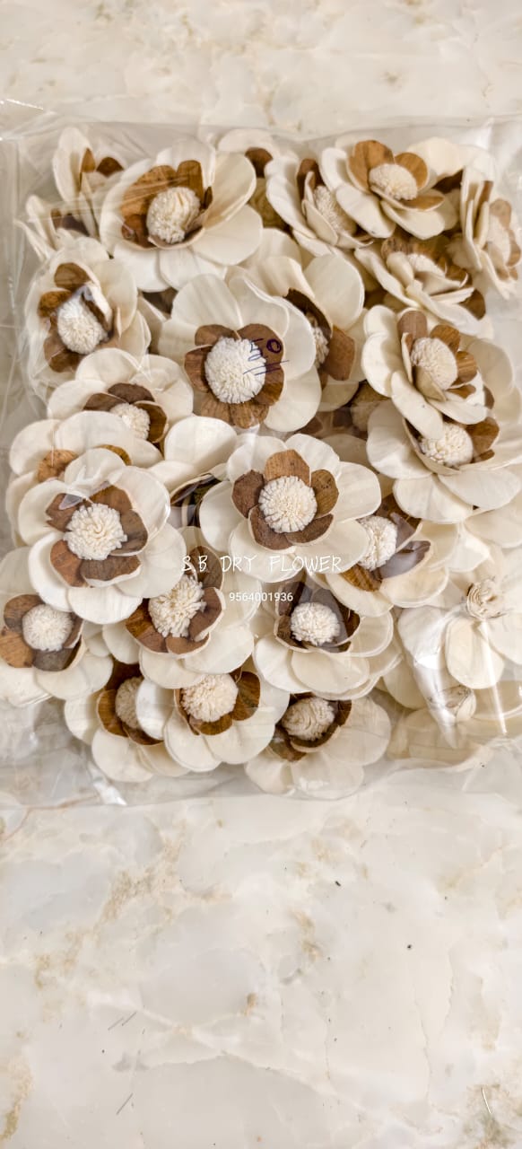 Natural Bark Edge Shola Flower Petal Blossoms