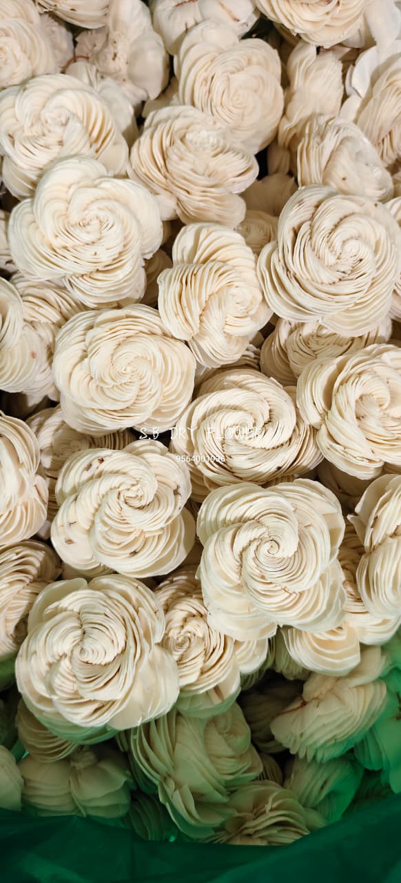 Spiral Carved Pure White Shola Wood Roses