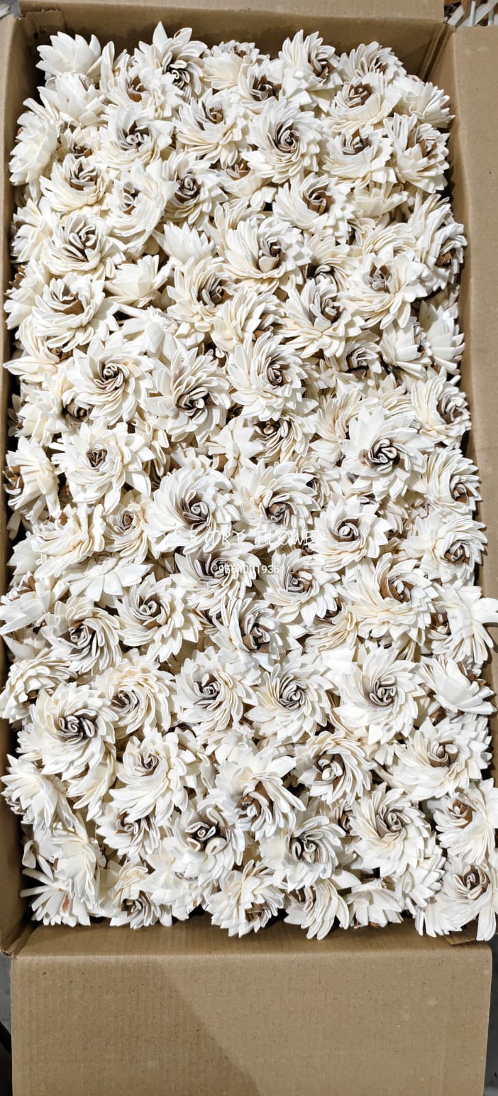 Handcrafted Pure White Shola Rosebuds