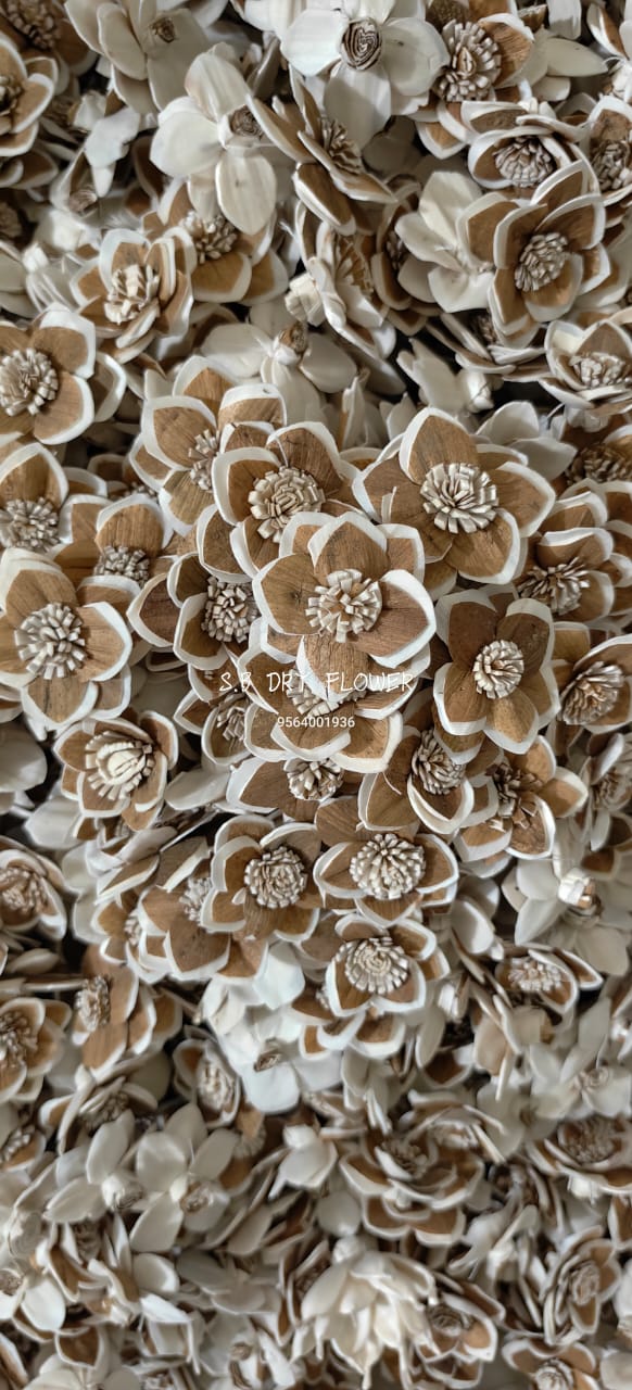Layered Gardenia Sola Wood Blooms