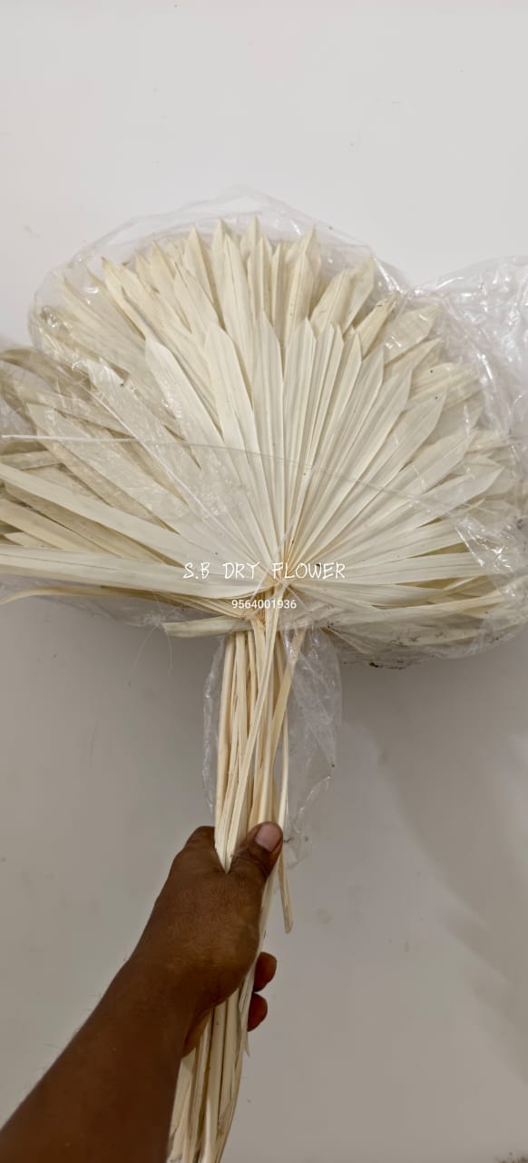 Delicate Petal Sola Floral Clusters