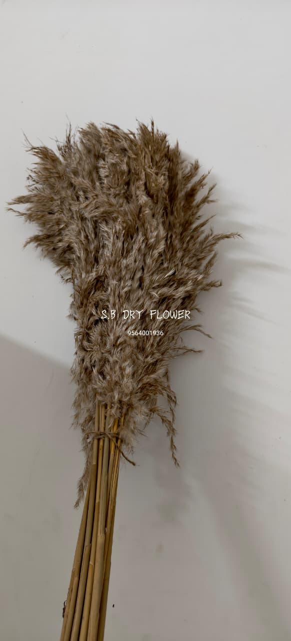 Fine-Cut Miniature Shola Botanical Buds