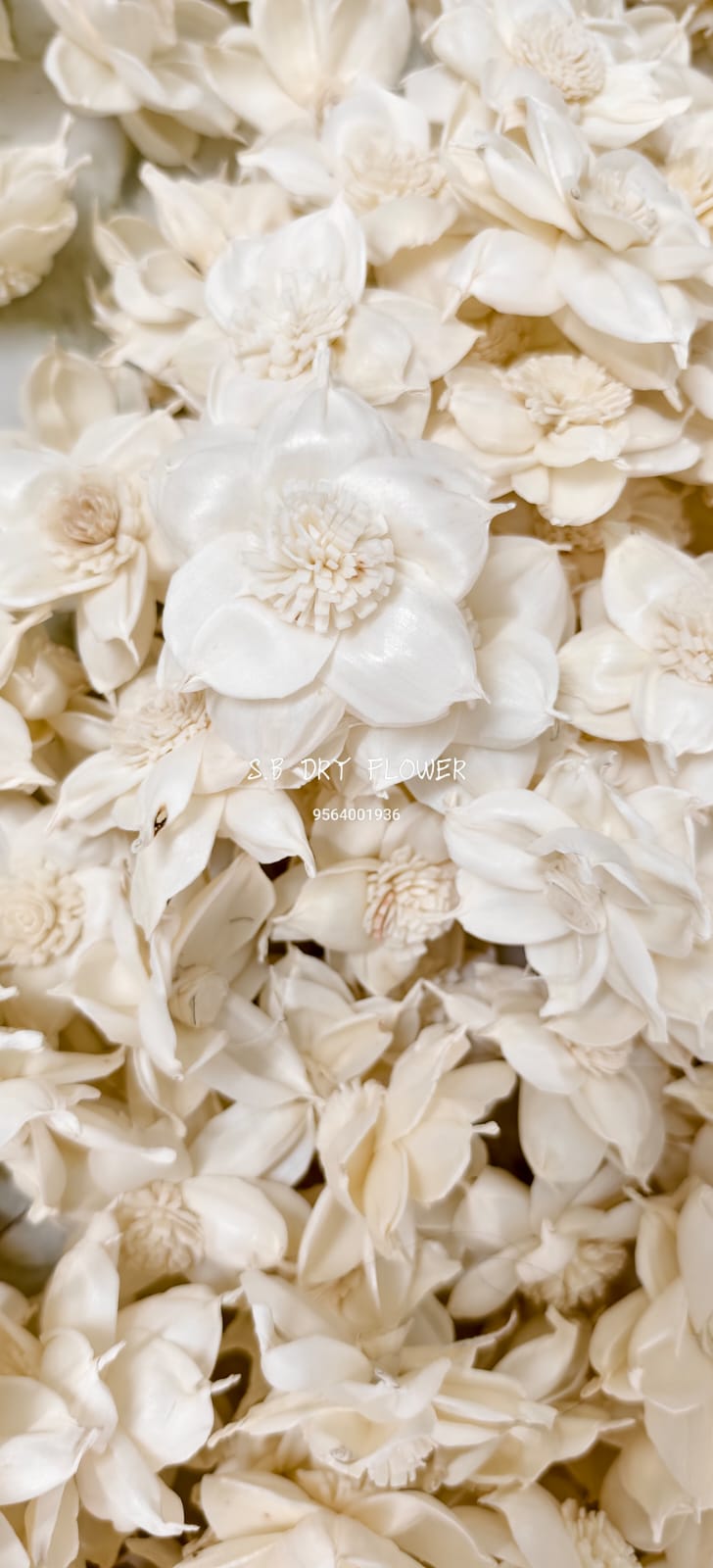 Rustic Dual-Tone Natural Shola Flowers