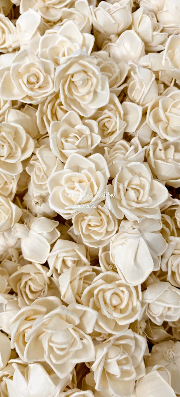 Fine Petal Sola Wood Carnation Bunch