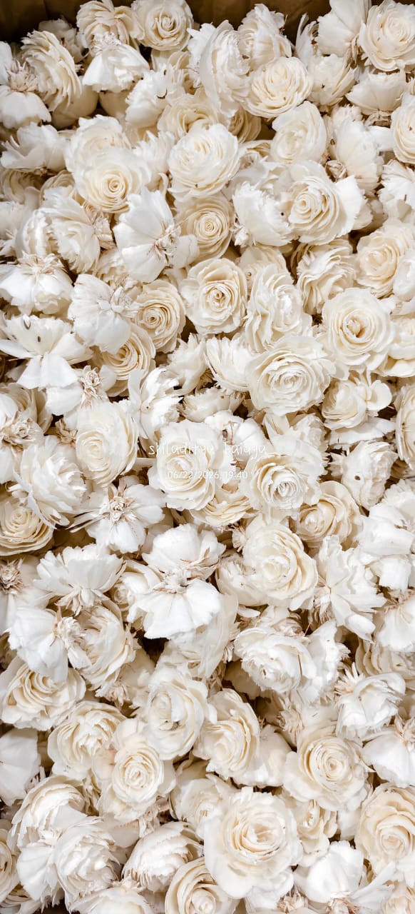 Textured Natural Pith Daisy Blooms