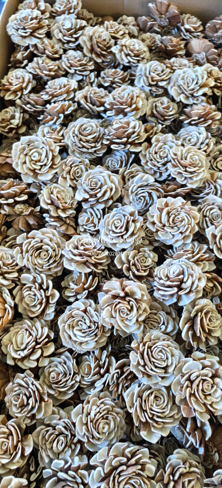 Organic Shola Pinecone & Botanical Stems