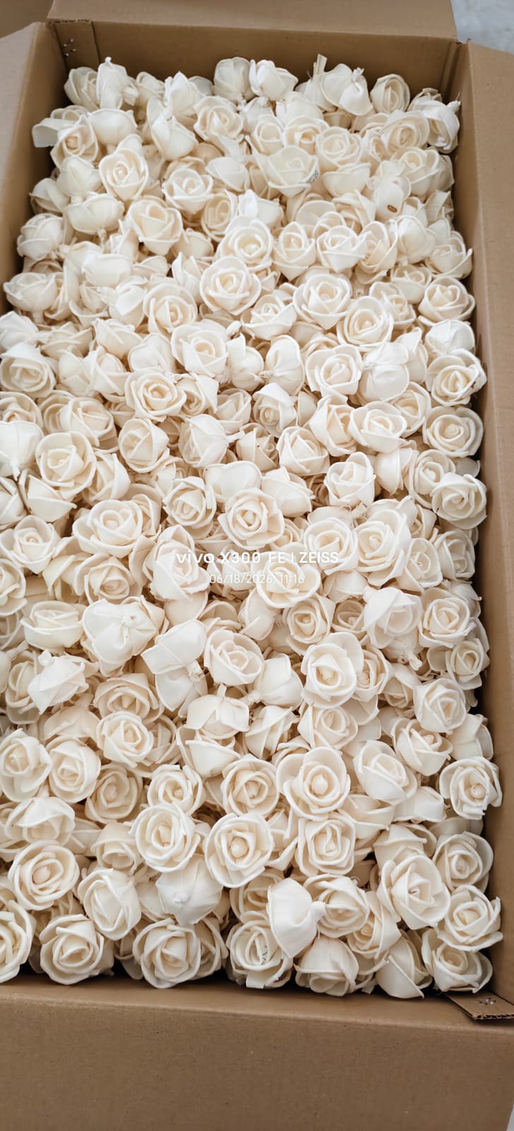 Artisan Swirl Center Shola Wood Blooms