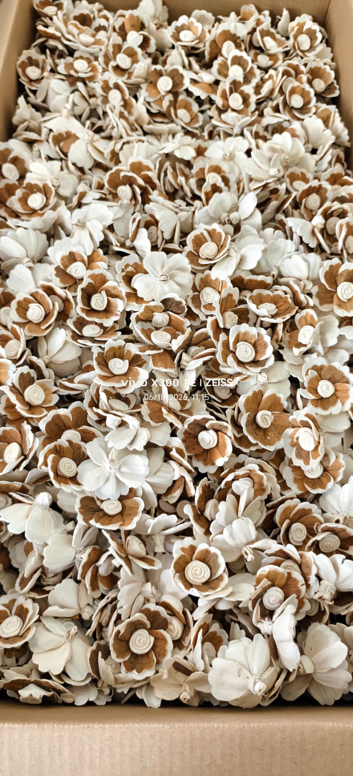Dense Layered Shola Wood Rosettes