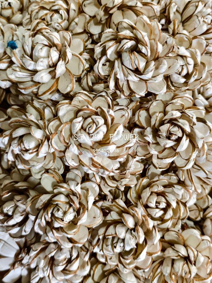 Raw Bark Shola Roses