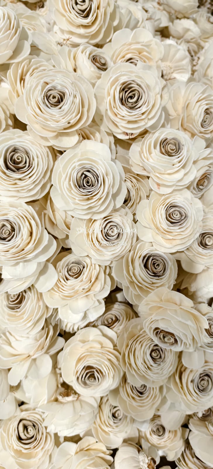 Two-Tone Spiral Center Shola Roses